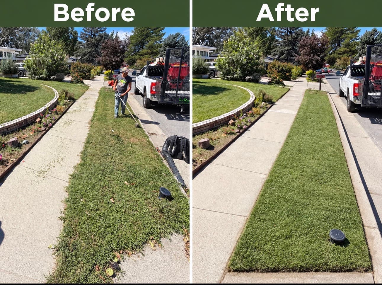 Before and after of an overgrown park strip trimmed and edged by Everwork