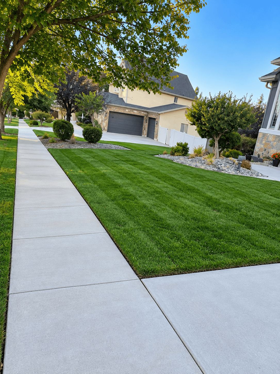 Crisp mowing stripes and clean sidewalk edges on a front lawn