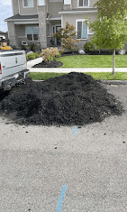 Large pile of dark mulch delivered in front of a home