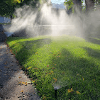 Pop-up sprinkler heads spraying an even pattern across a green lawn