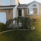 Curved front landscape bed with a weeping tree in front of a home